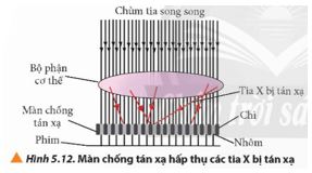 Giải Chuyên đề Vật lí 12 Chân trời sáng tạo bài 5