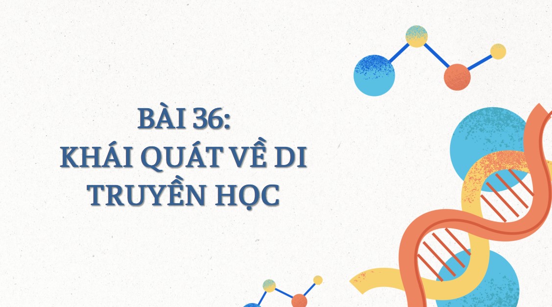 PowerPoint Khoa học tự nhiên 9 KNTT Bài 36