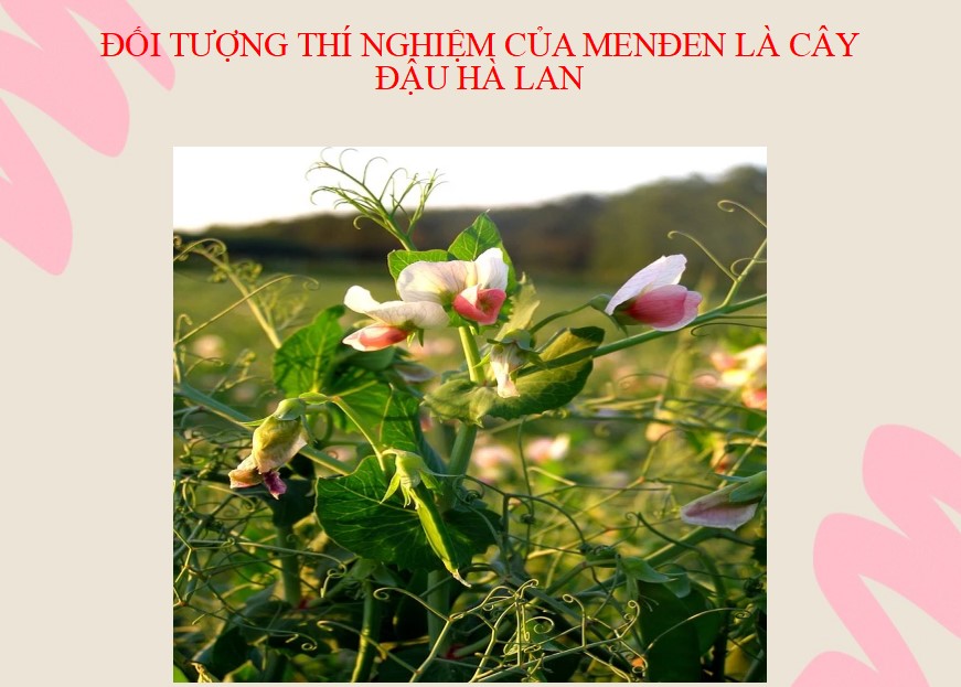 PowerPoint Khoa học tự nhiên 9 KNTT Bài 37