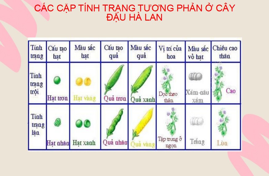 PowerPoint Khoa học tự nhiên 9 KNTT Bài 37