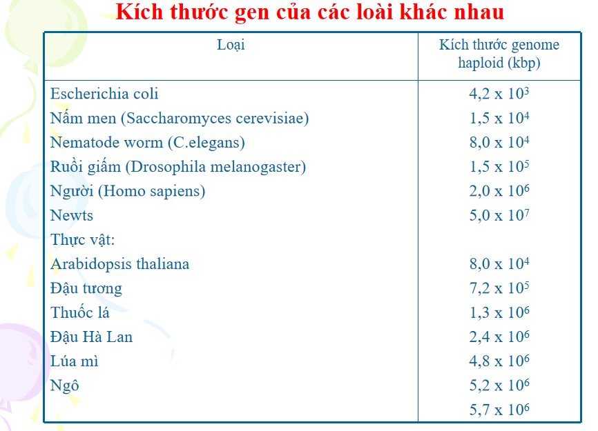 PowerPoint Khoa học tự nhiên 9 KNTT Bài 38