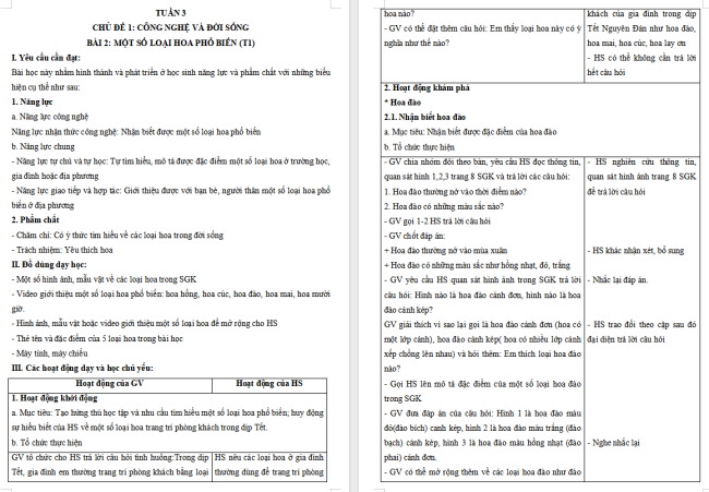 Giáo án Công nghệ 4 Bài 2: Một số loại hoa phổ biến