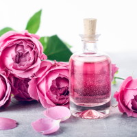 Giáo án Công nghệ 4 Bài 1: Lợi ích của hoa và cây cảnh