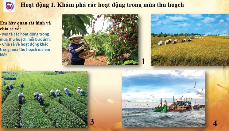 Mii thuat 5 CTST chu de 5 bai 1 6*803725