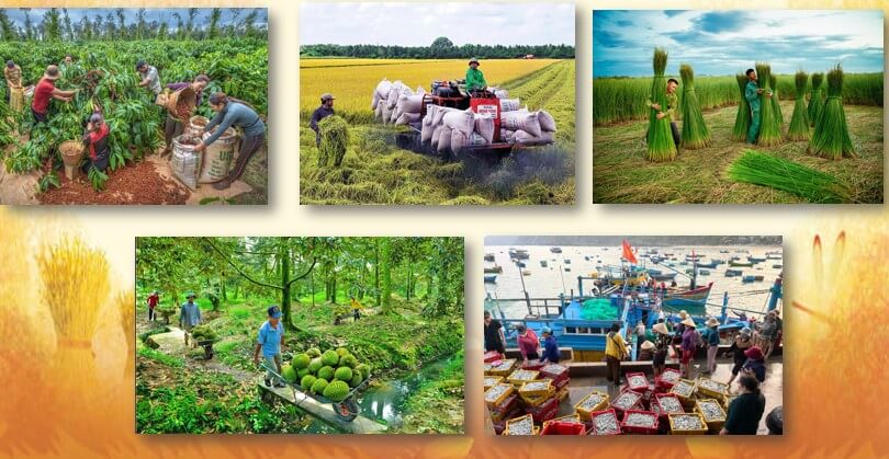 Mii thuat 5 CTST chu de 5 bai 1 7*803726