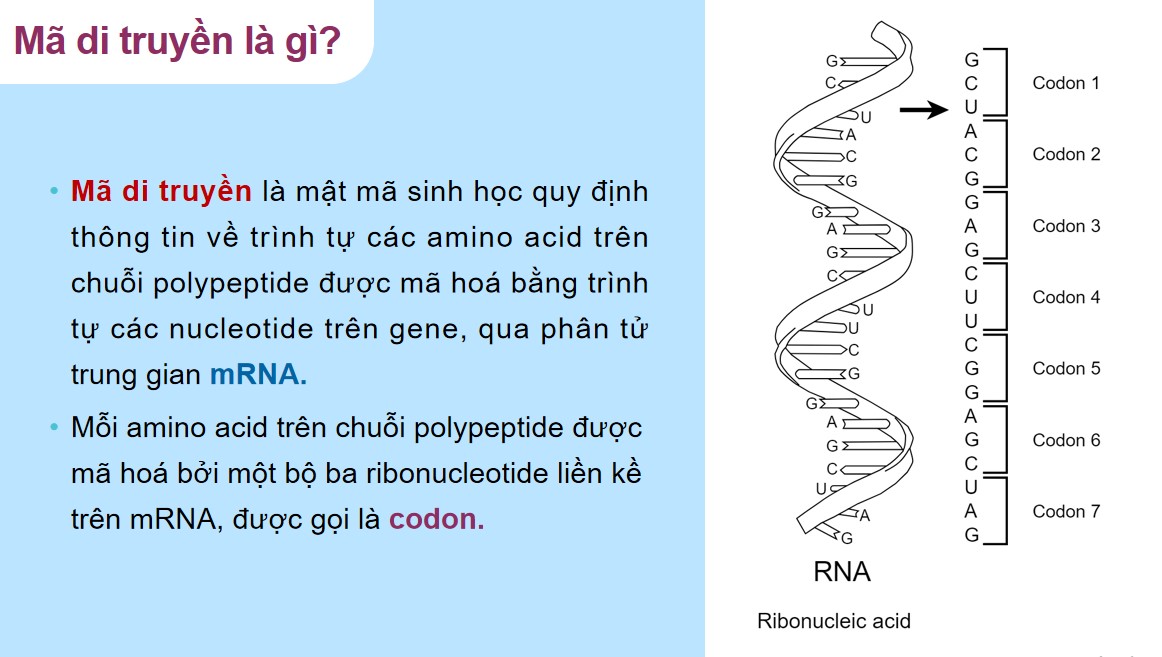 PowerPoint Khoa học tự nhiên 9 KNTT Bài 40