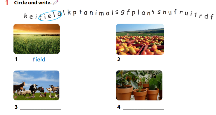 Sách bài tập Tiếng Anh 4 Wonderful world Unit 3 lesson 3 minh họa 1