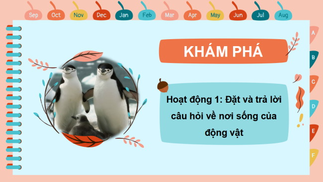 PowerPoint Tự nhiên và xã hội 2 Bài 15: Động vật sống ở đâu