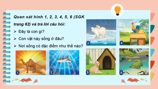 PowerPoint Tự nhiên và xã hội 2 Bài 15: Động vật sống ở đâu