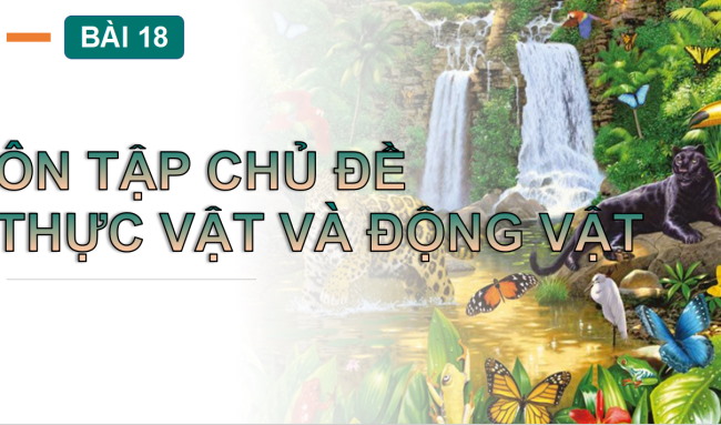 PowerPoint Tự nhiên và xã hội 2 Bài 18