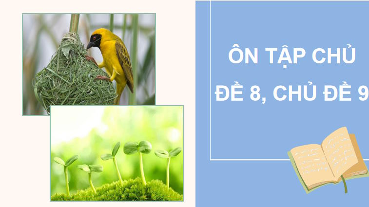 PowerPoint KHTN 7 Ôn tập chủ đề 8, 9