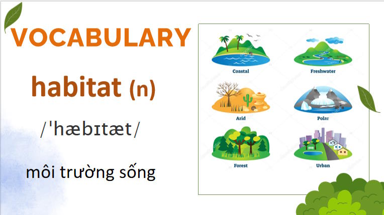 Giáo án PowerPoint Tiếng Anh 8 Unit 7: Getting Started