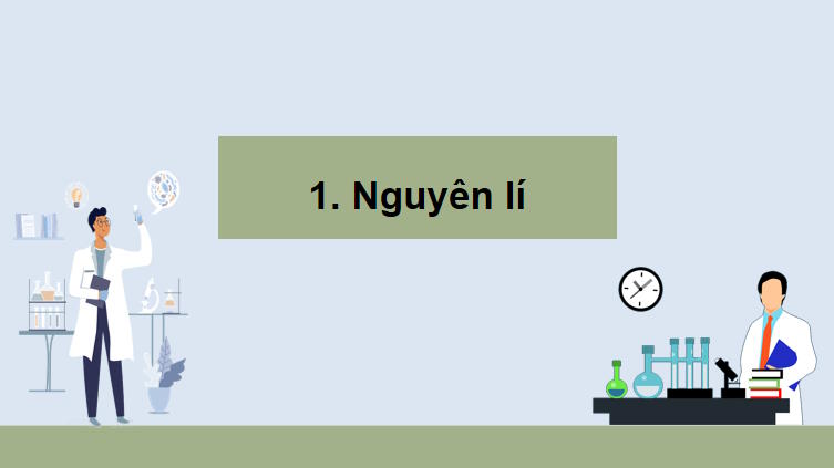 Giáo án PowerPoint Sinh học 10 Kết nối tri thức Bài 11