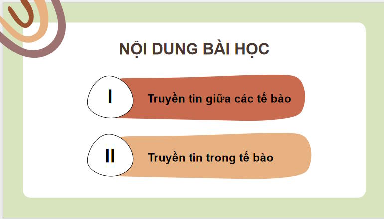 Giáo án PowerPoint Sinh học 10 Kết nối tri thức Bài 12