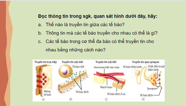 Giáo án PowerPoint Sinh học 10 Kết nối tri thức Bài 12