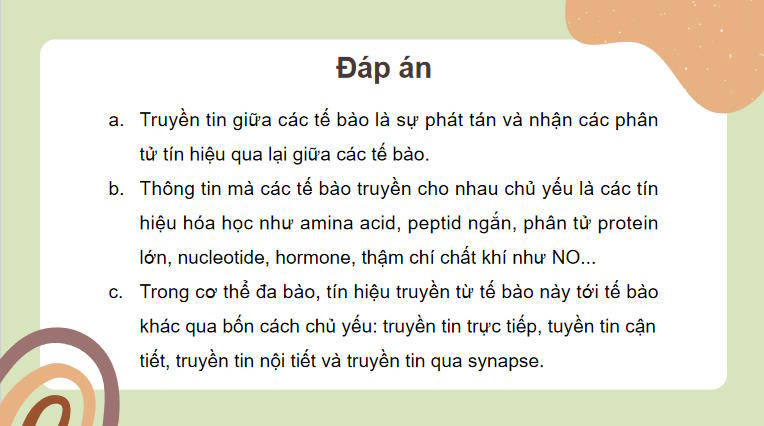 Giáo án PowerPoint Sinh học 10 Kết nối tri thức Bài 12