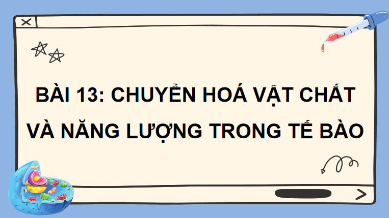 Giáo án PowerPoint Sinh học 10 Kết nối tri thức Bài 13