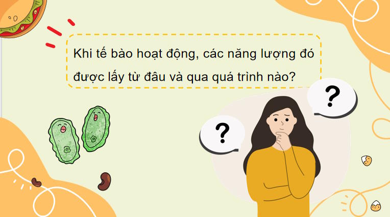 Giáo án PowerPoint Sinh học 10 Kết nối tri thức Bài 14