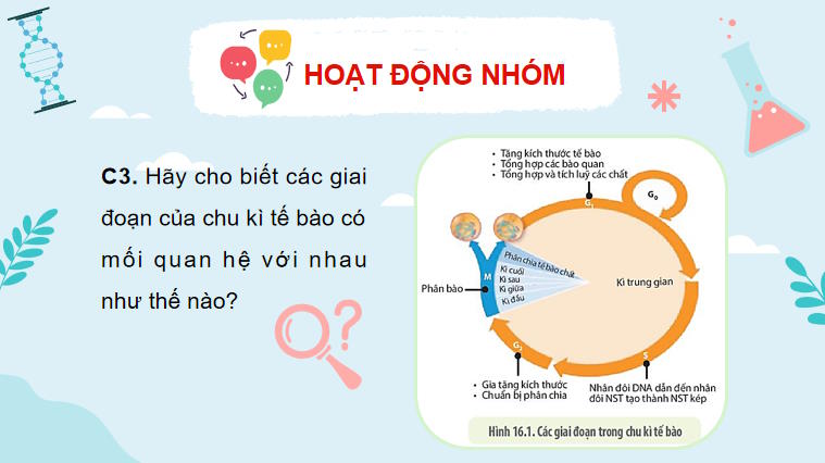 Giáo án PowerPoint Sinh học 10 Kết nối tri thức Bài 16
