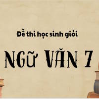 Bộ 20 đề thi học sinh giỏi Ngữ Văn 7 