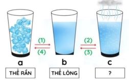 Đề thi Giữa kì 1 Vật lí 12 Chân trời sáng tạo - Đề 9