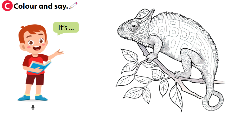 Tiếng Anh lớp 1 Wonderful World Unit 3 Lesson 5 minh họa 3