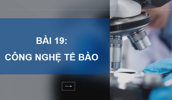 Giáo án PowerPoint Sinh học 10 Kết nối Bài 19