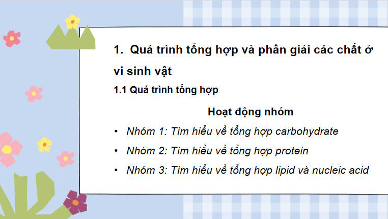 Giáo án PowerPoint Sinh học 10 Kết nối Bài 21