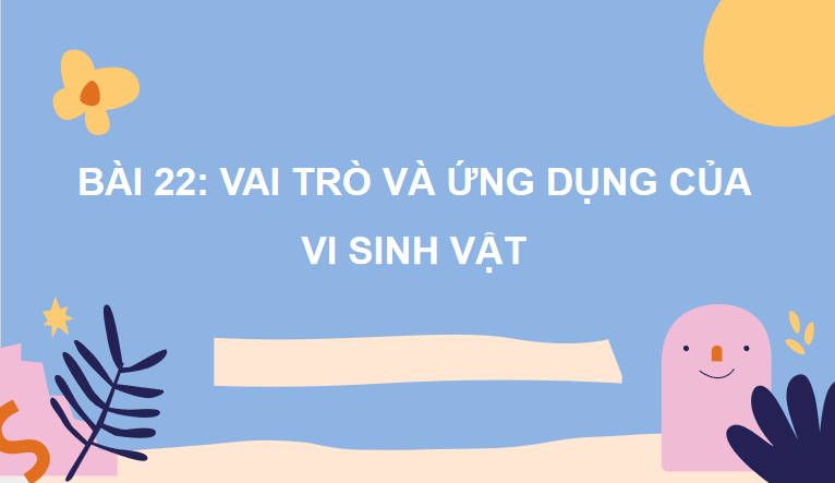 Giáo án PowerPoint Sinh học 10 Kết nối Bài 22