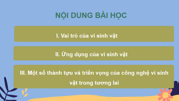 Giáo án PowerPoint Sinh học 10 Kết nối Bài 22