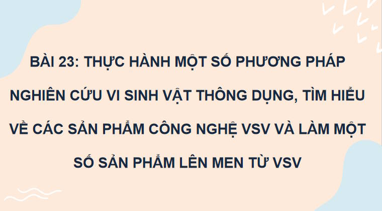 Giáo án PowerPoint Sinh học 10 Kết nối Bài 23