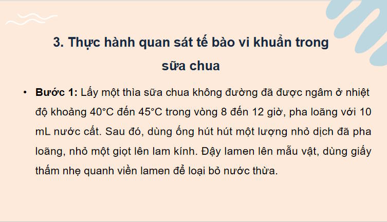 Giáo án PowerPoint Sinh học 10 Kết nối Bài 23