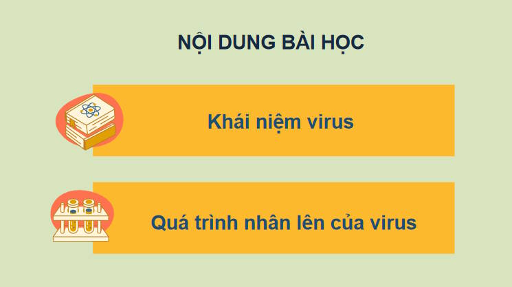 Giáo án PowerPoint Sinh học 10 Kết nối Bài 24