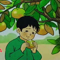 Giáo án Tiếng Việt 2 Bài 27: Kể chuyện Sự tích cây vú sữa