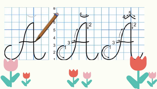 PowerPoint Tiếng Việt 2 Bài 3: Viết chữ hoa Ă, Â