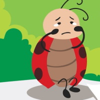 Giáo án Tiếng Việt 2 Bài 1: Đọc Bọ rùa tìm mẹ