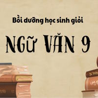 Tài liệu bồi dưỡng học sinh giỏi Ngữ Văn 9: Luyện đề và chuyên đề đọc hiểu 