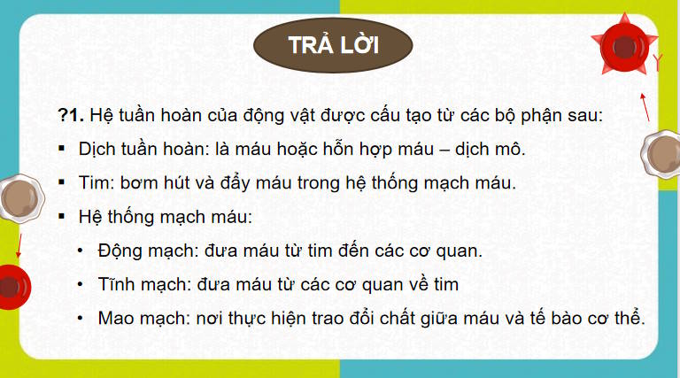 Giáo án PowerPoint Sinh học 11 Kết nối Bài 10