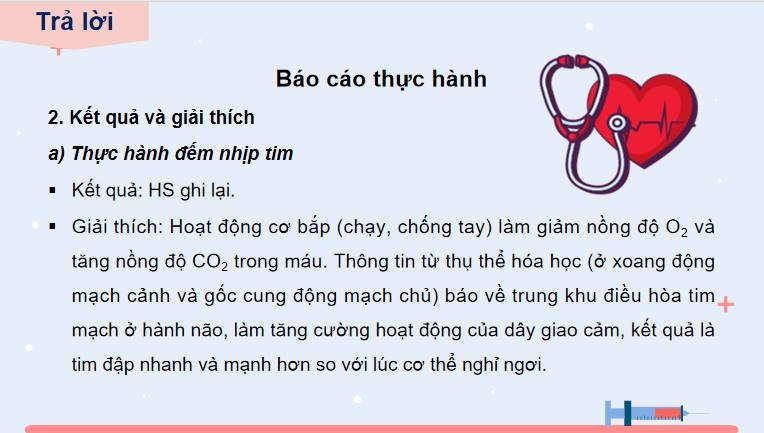 Giáo án PowerPoint Sinh học 11 Kết nối Bài 11