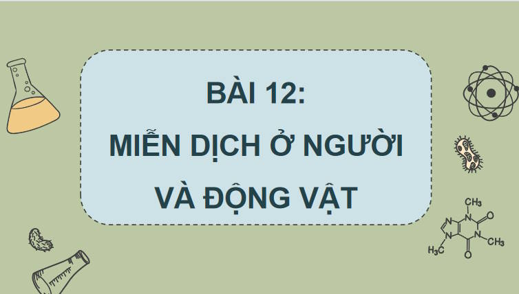 Giáo án PowerPoint Sinh học 11 Kết nối Bài 12