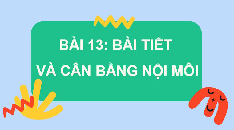 Giáo án PowerPoint Sinh học 11 Kết nối Bài 13