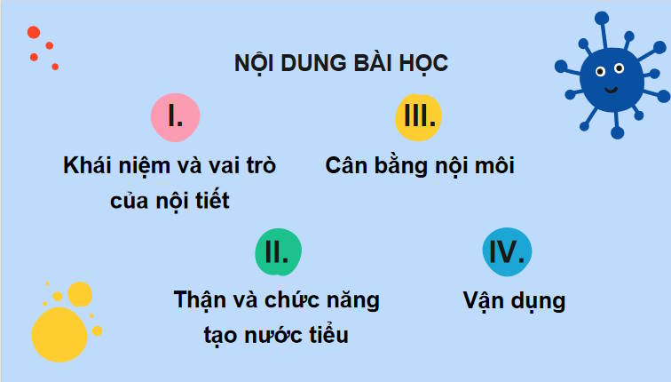 Giáo án PowerPoint Sinh học 11 Kết nối Bài 13