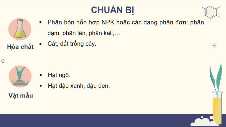 Giáo án PowerPoint Sinh học 11 Kết nối Bài 16