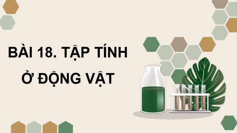 Giáo án PowerPoint Sinh học 11 Kết nối Bài 18
