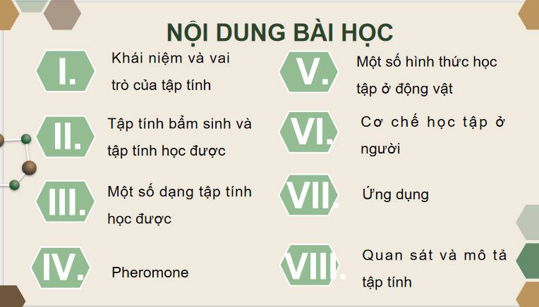Giáo án PowerPoint Sinh học 11 Kết nối Bài 18