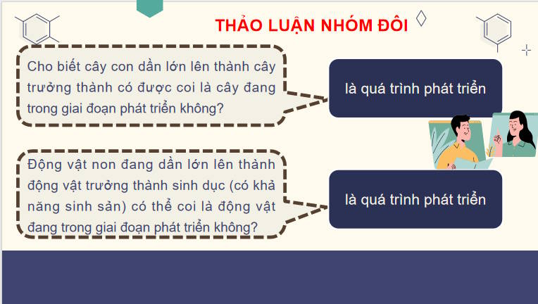 Giáo án PowerPoint Sinh học 11 Kết nối Bài 19
