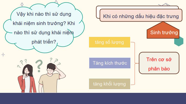 Giáo án PowerPoint Sinh học 11 Kết nối Bài 19