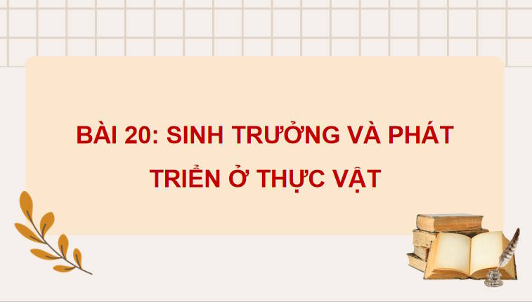 Giáo án PowerPoint Sinh học 11 Kết nối Bài 20