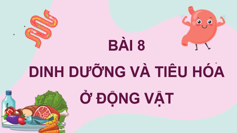 Giáo án PowerPoint Sinh học 11 Kết nối Bài 8