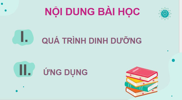 Giáo án PowerPoint Sinh học 11 Kết nối Bài 8